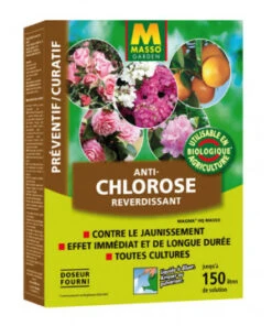ANTI-CHLOROSE MAGMA 150G