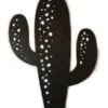 Cactus Colorado Grand Noir