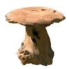 CHAMPIGNON TECK 30cm