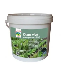 CHAUX VIVE EFFERVESCENTE SEAU 5KG