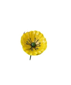 Coquelicot Pic Jaune 16