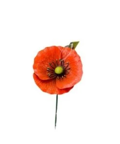 Coquelicot Pic Orange 16