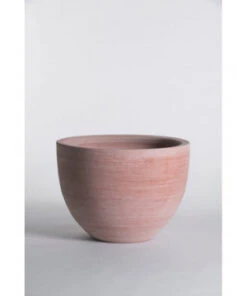 CUVIER BAS CONTEMPORAIN 35*26