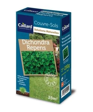 Dichondra Caillard 0.25kg