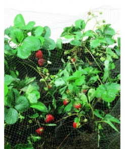 Filet De Protection 10m X10m