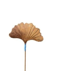 Ginkgo Biblo A/baton - Pm - Rouille