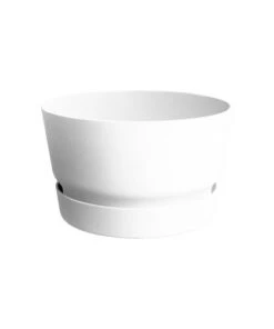 GREENVILLE COUPE 33CM BLANC - ELHO