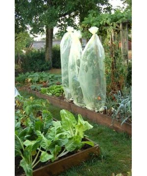 Housse De Croissance Tomates 0,60Mx10M 50”