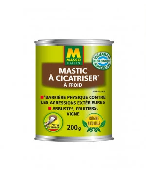 MASTIC A CICATRISER A FROIDÂ 200 G