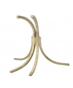 Pied Pour Globo Royal Amazonas