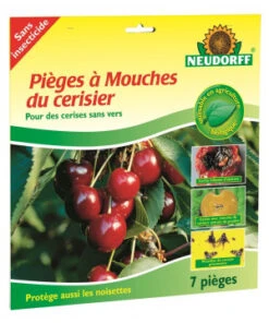 PIEGE MOUCHE CERISIER