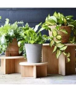 Porte Plantes En Bambou L