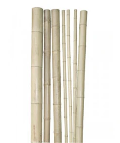 TUTEUR BAMBOU 200CM D3CM