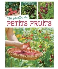 Un Jardin De Petits Fruits